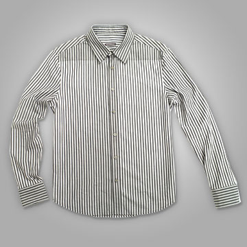 [striped+oxford+shirt.jpg]