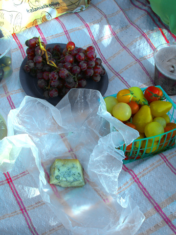 [blog.picnic]