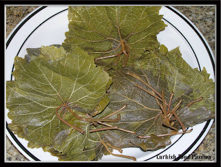 Dolma/Stuffed Grape Leaves with Olive Oil Grape+Leaves