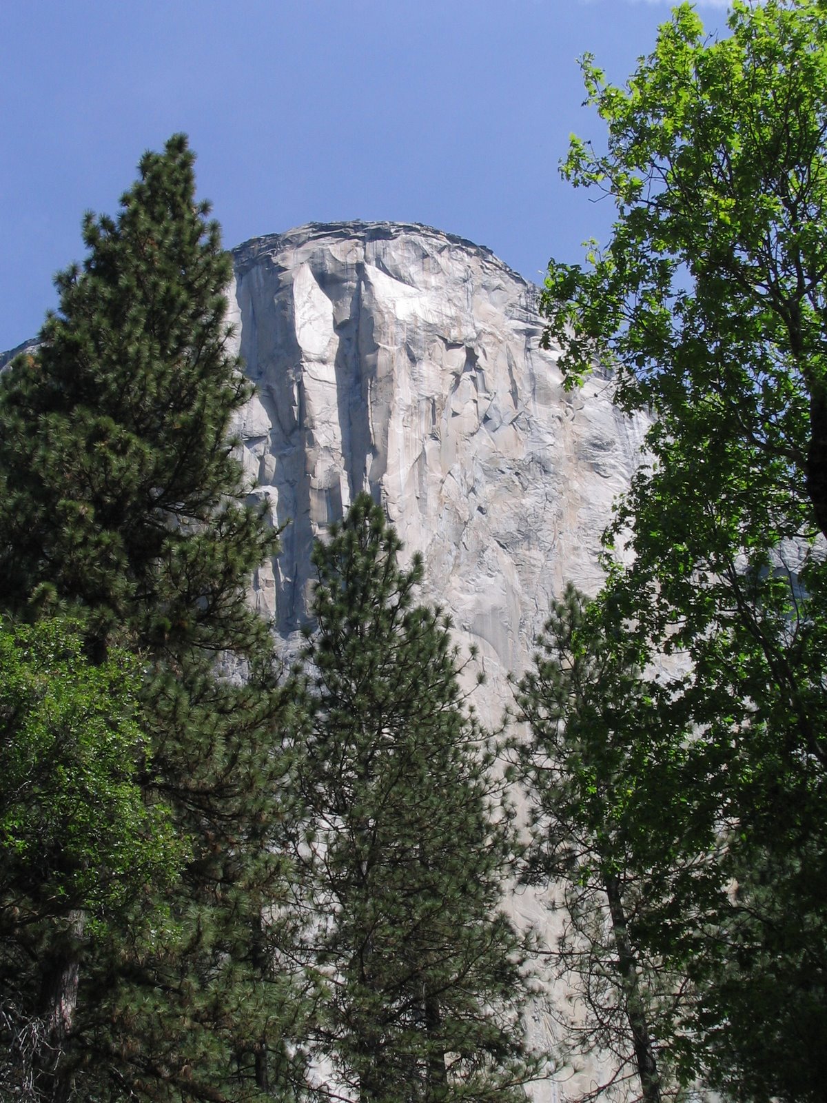 [Yosemite+121.jpg]