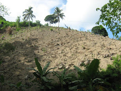 Denuded mountain of Budlaan, Cebu City.