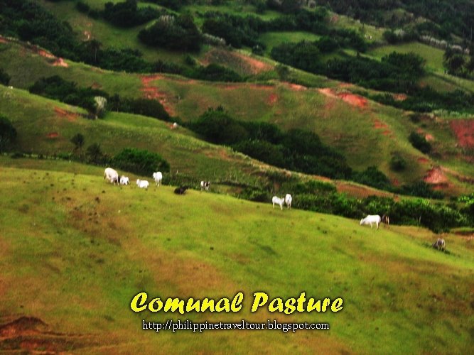 [comunal+pasture+(3).jpg]