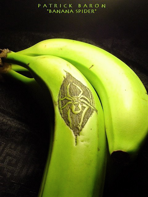 [BananaSpiderBaron_006.jpg]