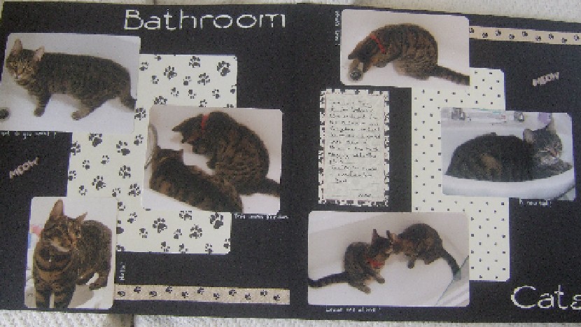 [bathroom+cats.jpg]