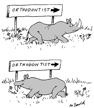 [rhino+orthodontist.gif]
