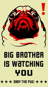 [Big+Brother+Pug.jpg]