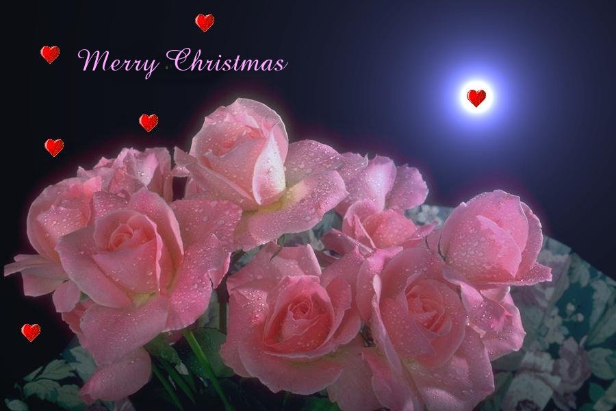 [christmas-love-flower-card.jpg]