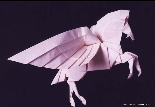 [origami_25.jpg]
