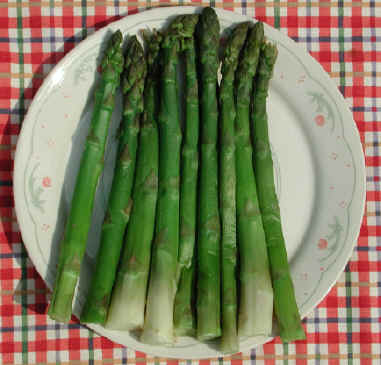[asparagus1.jpg]