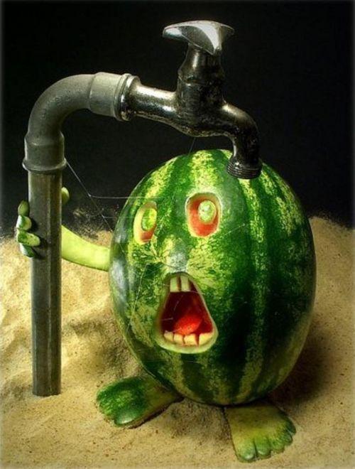 [shocking+water+melon.jpg]