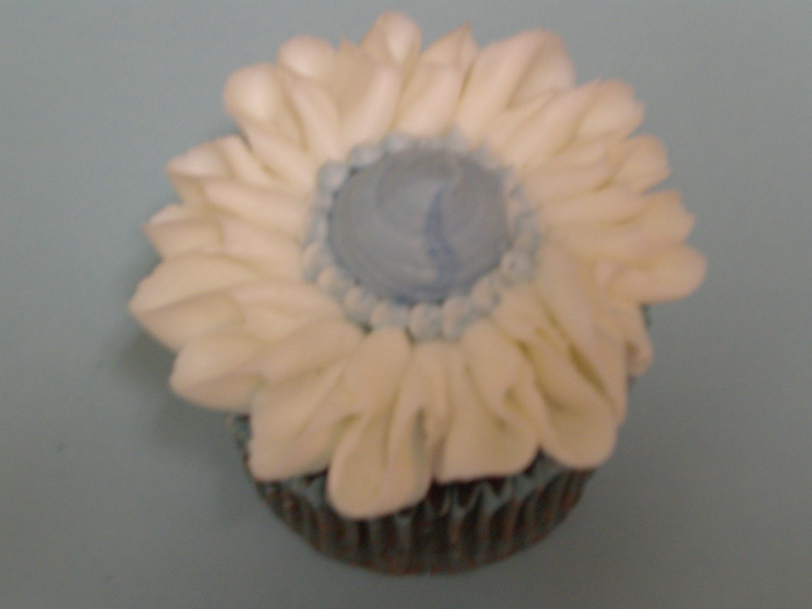 [flower+cupcakes+blue+010.jpg]