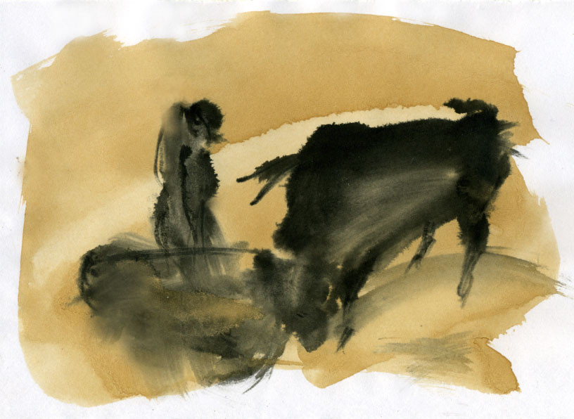 [bullfighting-124.jpg]