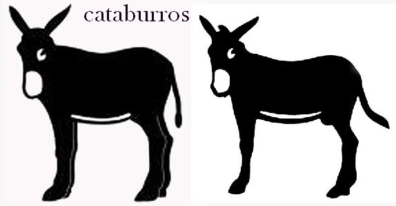 [burros.jpg]