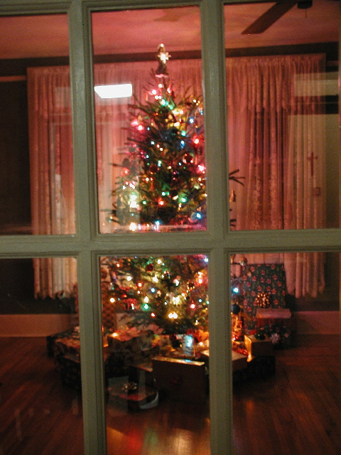 [Christmas+Tree+2006-6-rs.jpg]