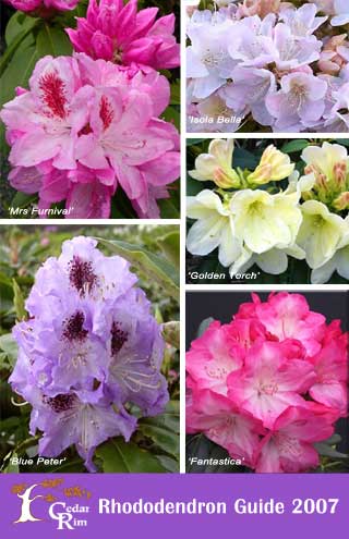 [Rhododendron-Guide-Cover.jpg]