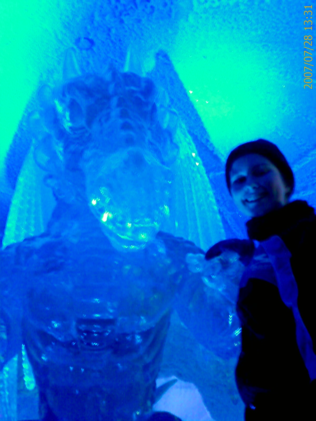[Ski+Dubai+Dragon+Ice+Sculpture+4.jpg]
