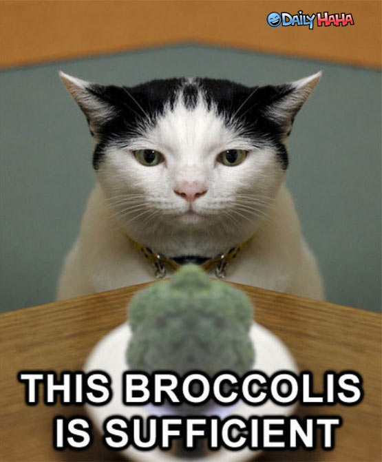 [broccolis_sufficient.jpg]