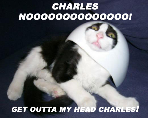 [get_out_of_my_head_charles.jpg]