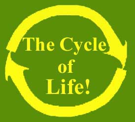 [Cycle+of+Life+Circle.jpg]