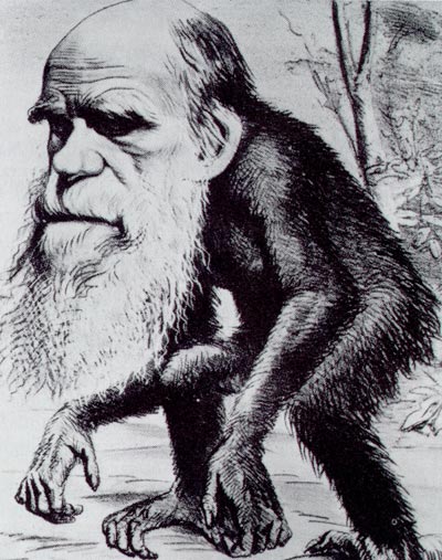 [Darwin_ape.jpg]