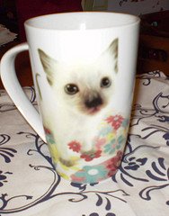 [Kitten+Mug.jpg]