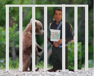 [Dad+bear+cage.jpg]