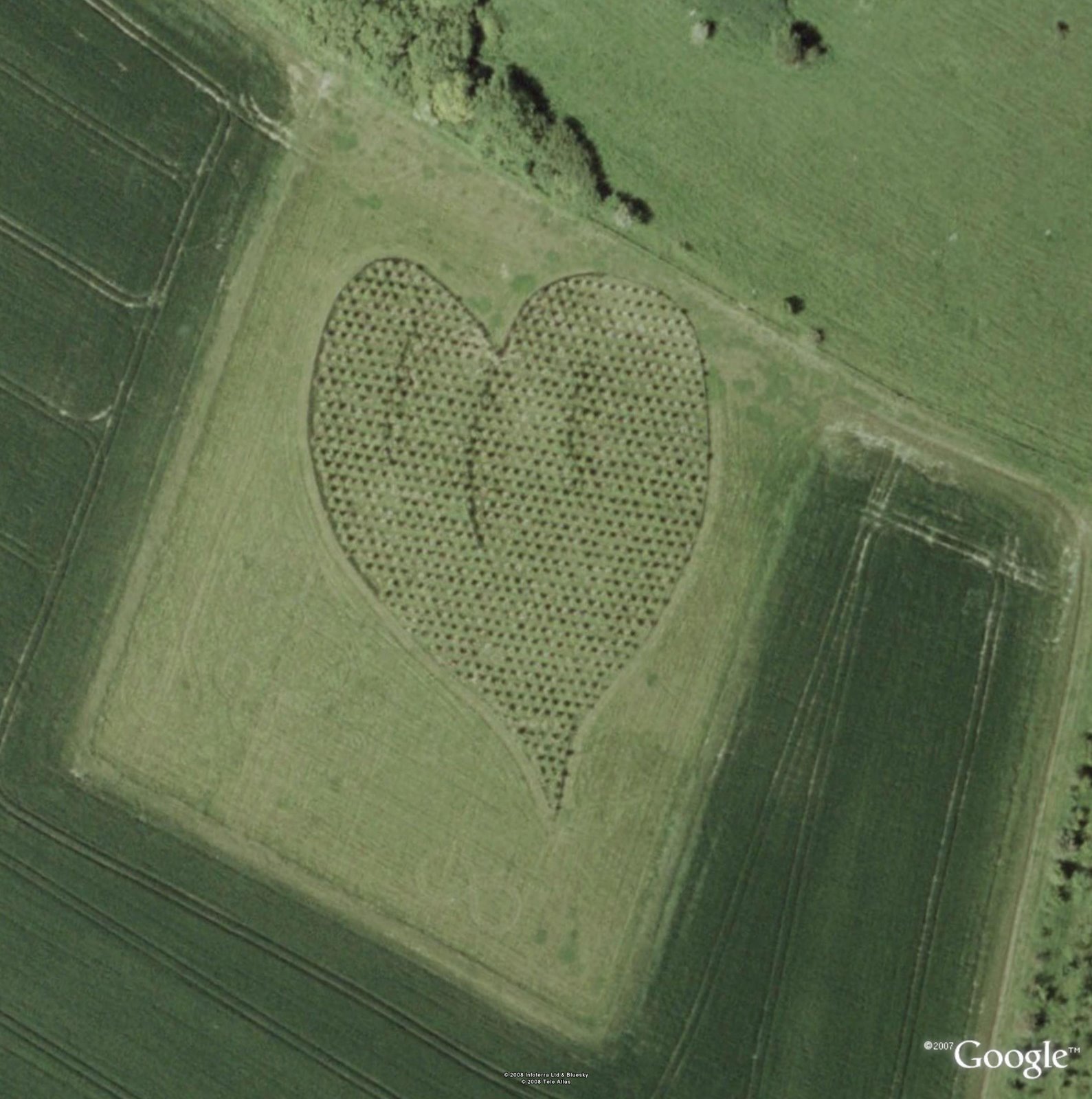 [Heart+in+a+field+UK.jpg]