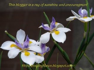 Ray of Sunshine and Encouragement