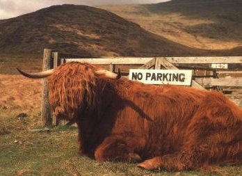 [Parking+In+Scotland.JPG]