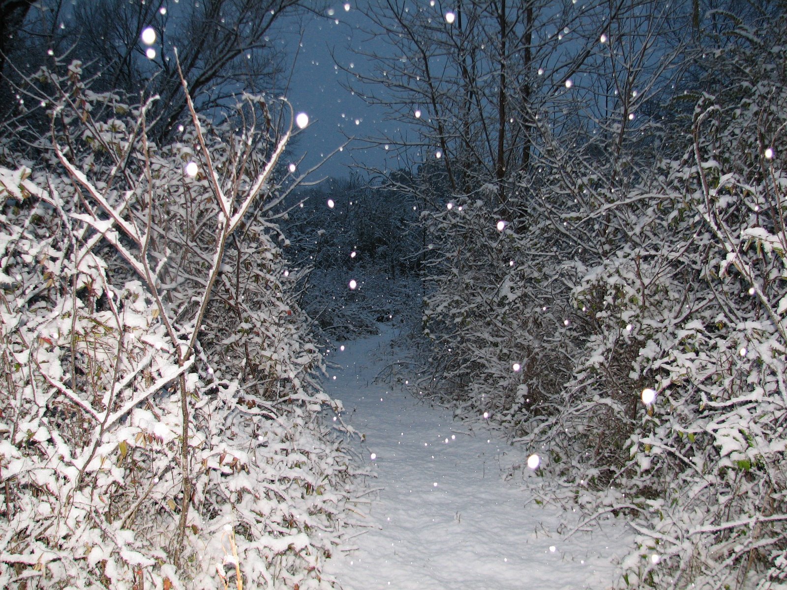 [IMG_4693cross+path+snow.JPG]