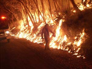 [bushfires.jpg]