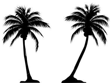 [ist2_509062-palm-tree-couple-vector.jpg]
