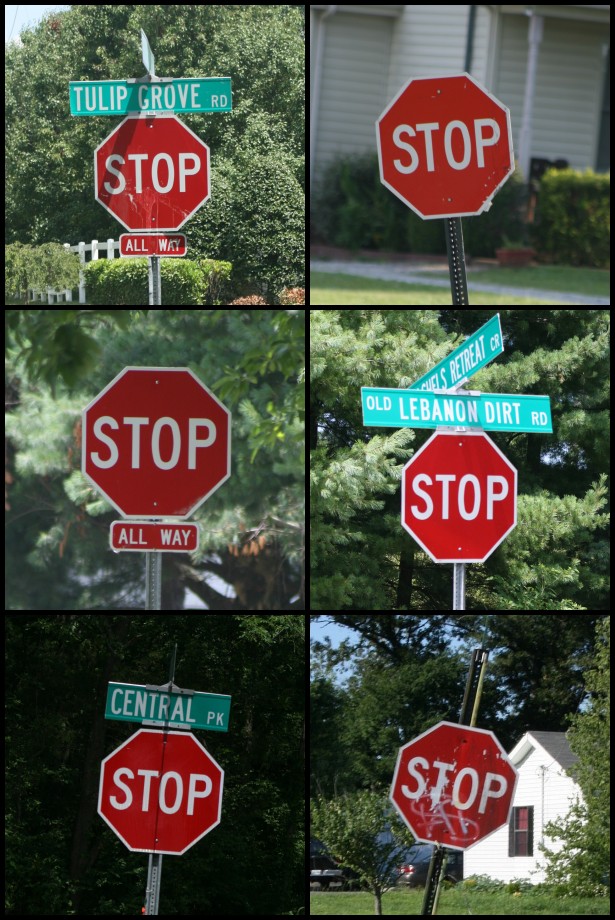 [stop+signs.jpg]