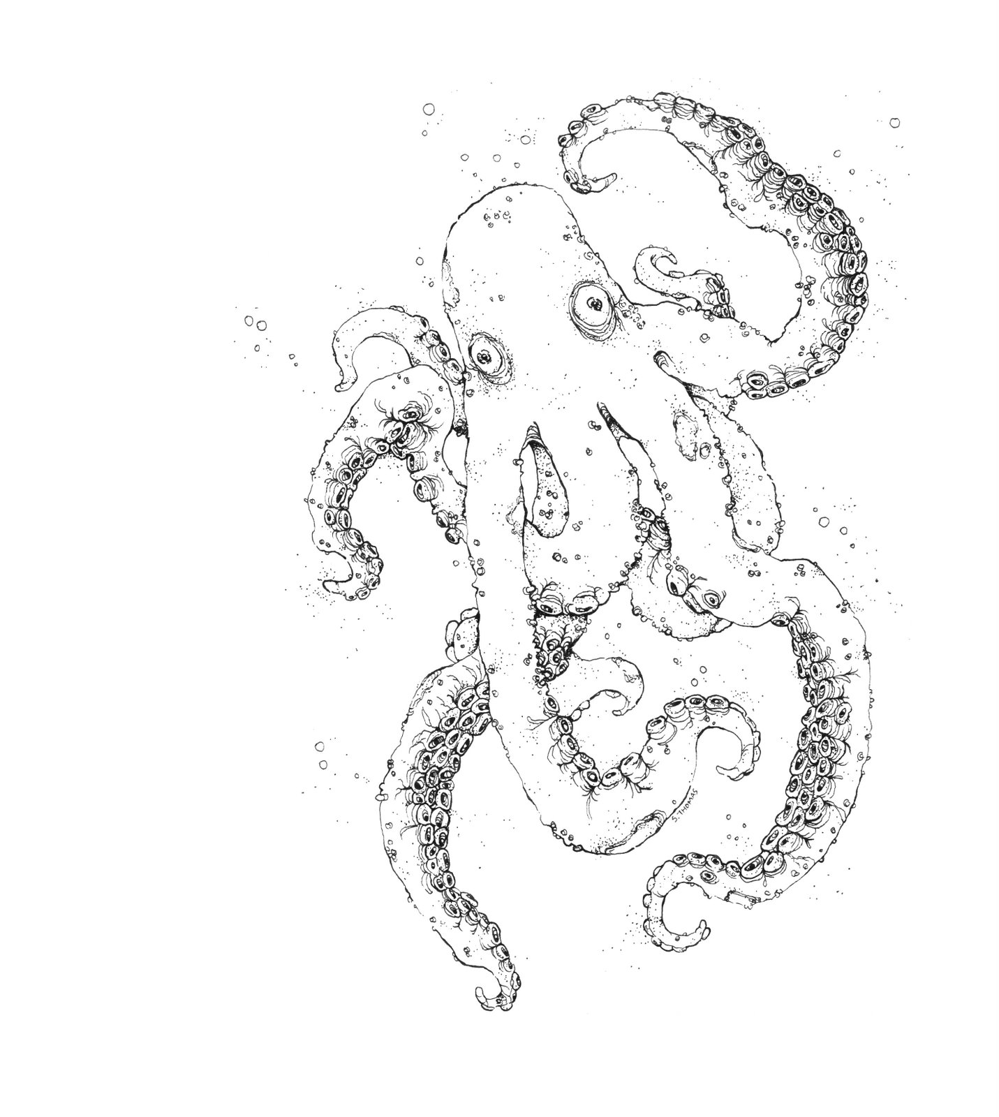 [Octopus.jpg]