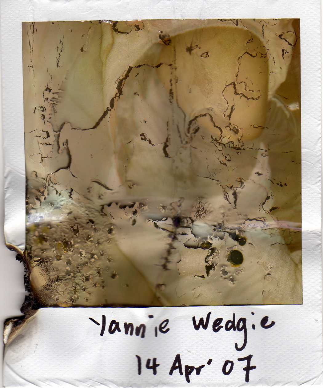 [Yannie+Wedgied+(destroyed).jpg]