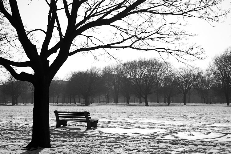 [snow_bench_tree_trinity_park.jpg]