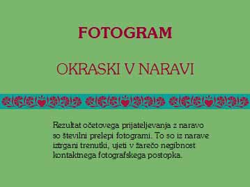 [krasilni_razbor_blog_fotogram_ornamentika_v_naravi_01.jpg]