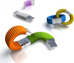 [20070117-cle-usb-flexible-extensible-vicky-wei.jpg]