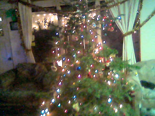 [Christmas+tree+06.jpg]