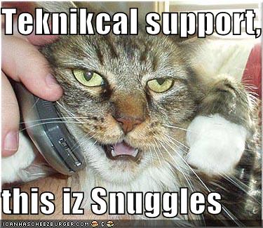 [funny-pictures-technical-support-cat.jpg]