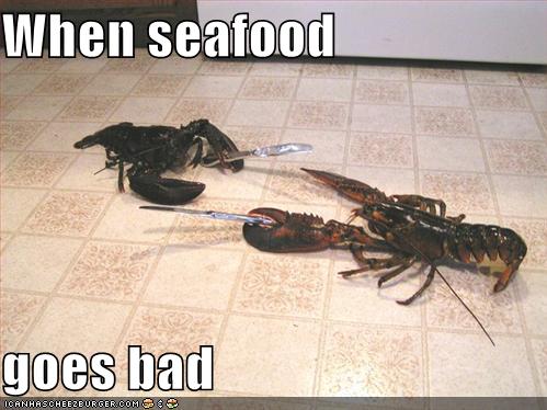 [funny-pictures-dueling-lobsters.jpg]