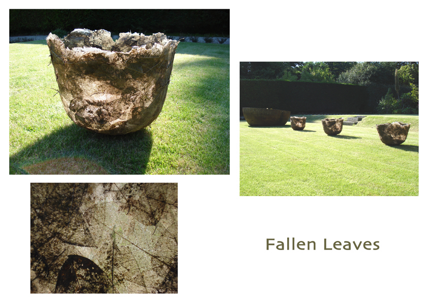 [fallen+leaves.jpg]