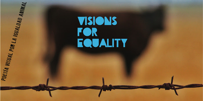 Visions for Equality
