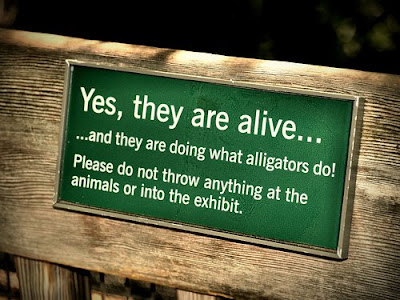 Funny-Animal-Signs