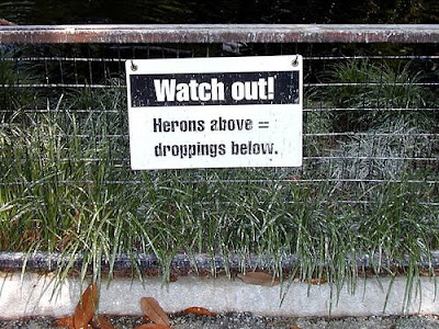 Funny-Animal-Signs