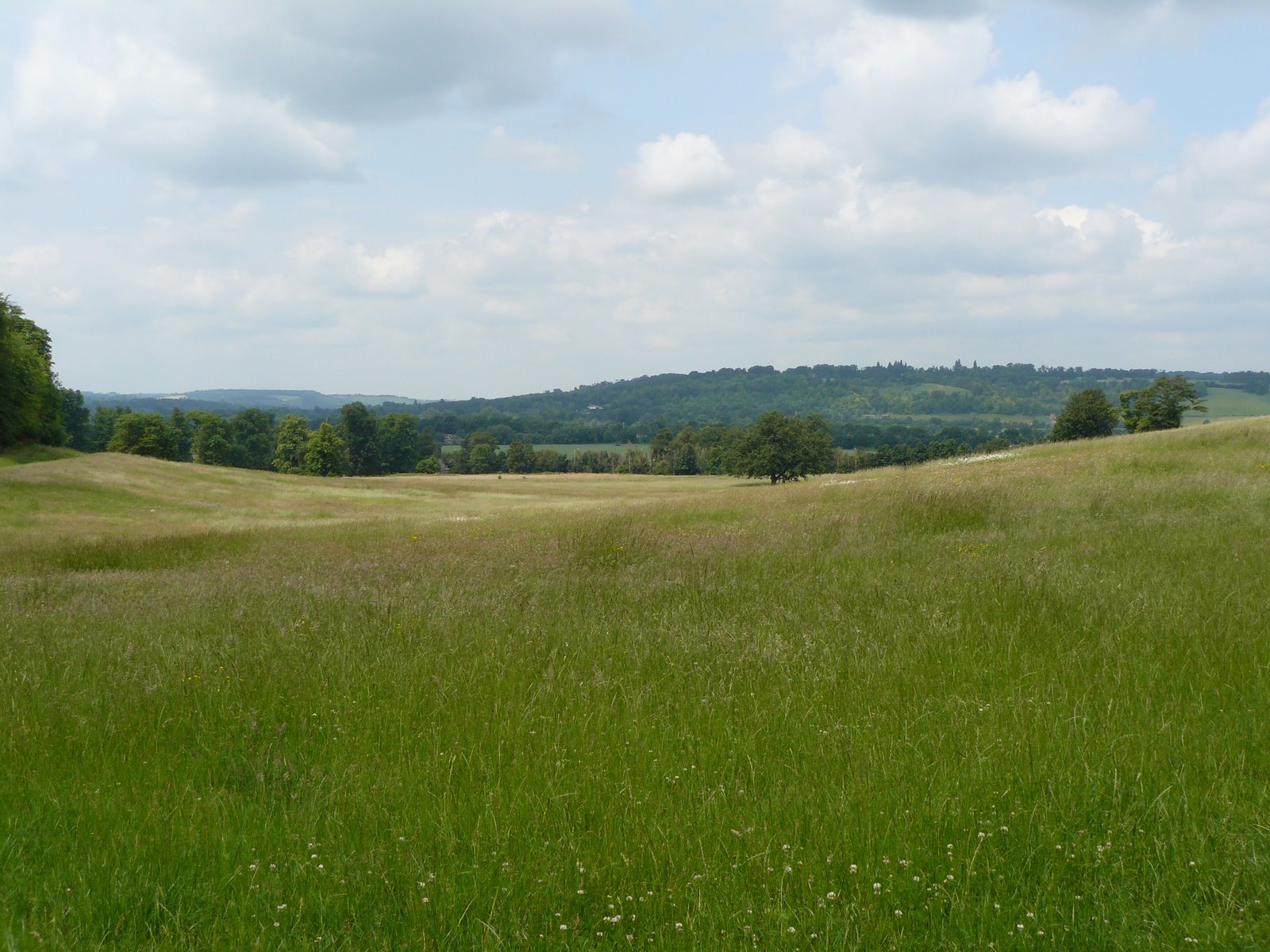 [view+towards+Purley+and+the+Thames+valley.JPG]