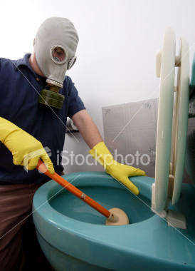 [cleaning+toilet.jpg]