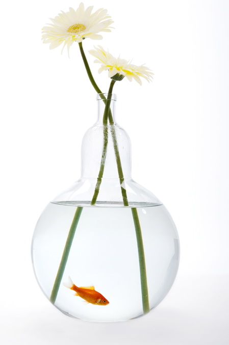 [web-fishbowl-bottle-vase.jpg]