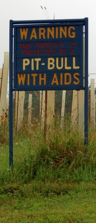 [pit_bull_aids.jpg]