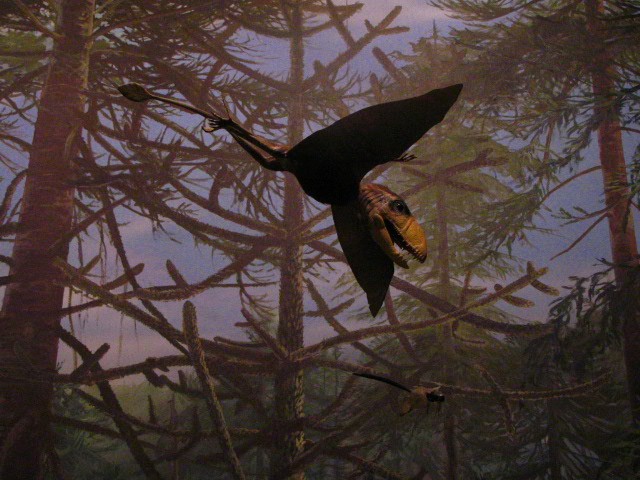 [pterosaur.jpg]